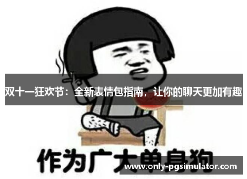 双十一狂欢节：全新表情包指南，让你的聊天更加有趣