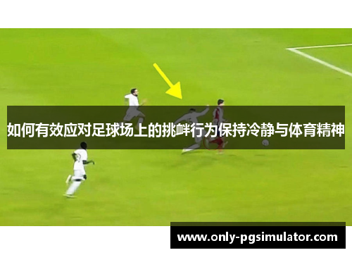 如何有效应对足球场上的挑衅行为保持冷静与体育精神
