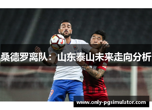 桑德罗离队：山东泰山未来走向分析