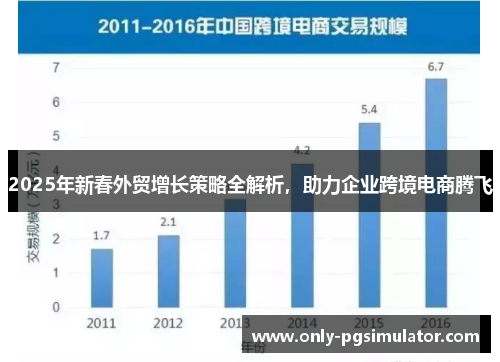 2025年新春外贸增长策略全解析，助力企业跨境电商腾飞