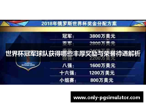 世界杯冠军球队获得哪些丰厚奖励与荣誉待遇解析