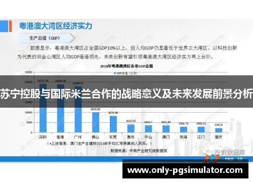 苏宁控股与国际米兰合作的战略意义及未来发展前景分析
