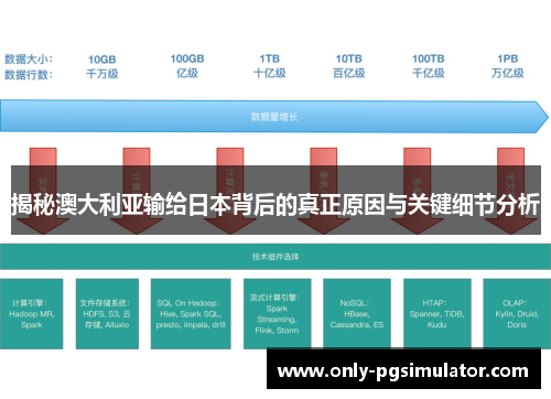 揭秘澳大利亚输给日本背后的真正原因与关键细节分析