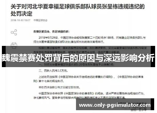 魏震禁赛处罚背后的原因与深远影响分析