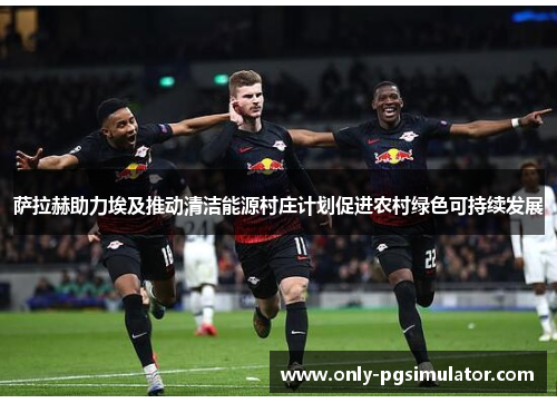 萨拉赫助力埃及推动清洁能源村庄计划促进农村绿色可持续发展