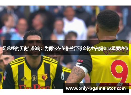 足总杯的历史与影响：为何它在英格兰足球文化中占据如此重要地位
