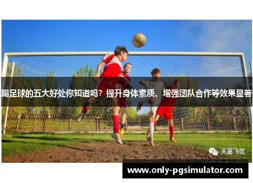 踢足球的五大好处你知道吗？提升身体素质、增强团队合作等效果显著