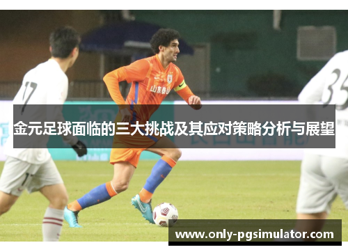 金元足球面临的三大挑战及其应对策略分析与展望