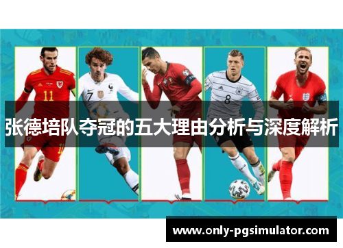 张德培队夺冠的五大理由分析与深度解析