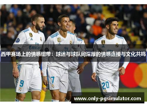 西甲赛场上的情感纽带：球迷与球队间深厚的情感连接与文化共鸣